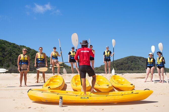 Epic Kayak With Dolphins & Wildlife - 4WD Beach Adventure Noosa - Is $115.48 a fair price?
