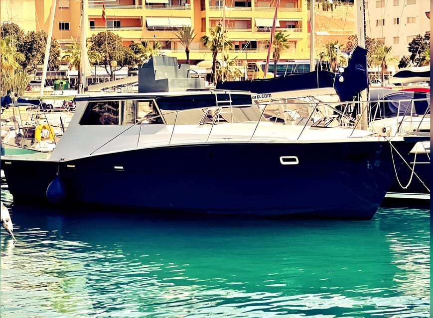 Estepona: Dolphin Searching Sunset Cruise with Drink & Snack - Searching the coast for dolphins