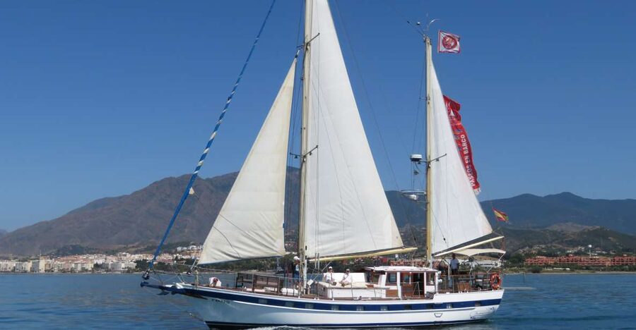 Estepona: Dolphin Watching Sailboat Cruise with Drink - Quick facts about the Estepona dolphin sail