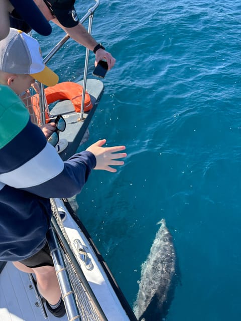 Estepona: Dolphins Searching Sea Cruise with Drink & Snacks - Dolphin watching without false promises