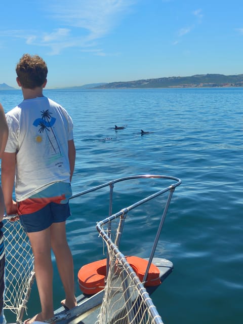 Estepona: Dolphins Searching Sea Cruise with Drink & Snacks - Food, drinks, and comfort on board