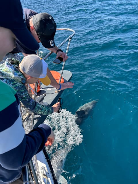 Estepona: Dolphins Searching Sea Cruise with Drink & Snacks - Meeting the crew at La Martingala