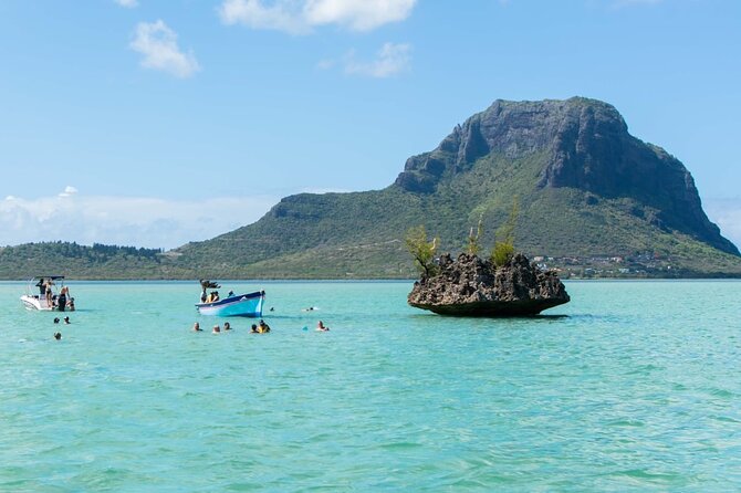 Exciting Dolphin encounters in the Maurtius's lagoon - The crew’s role in the water