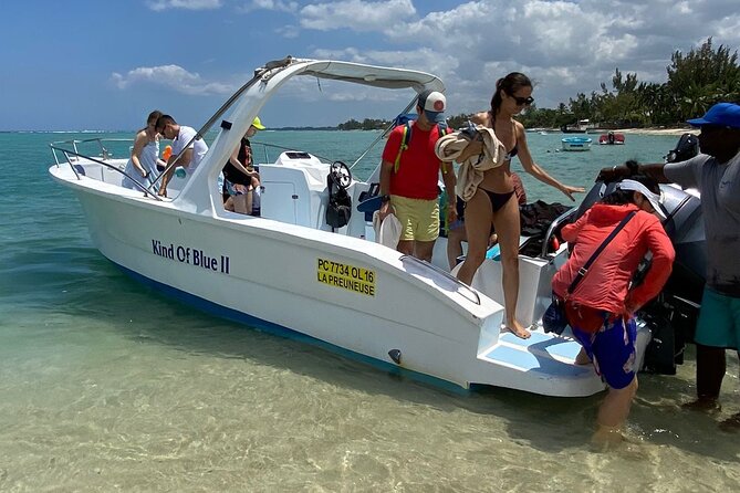 Exciting Dolphin encounters in the Maurtius's lagoon - Group size, pace, and comfort