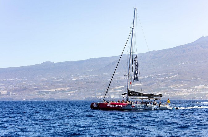 Exclusive Freebird Catamaran Whale and Dolphin Cruise to Caleta - Snacks, drinks, and the value of $58.07
