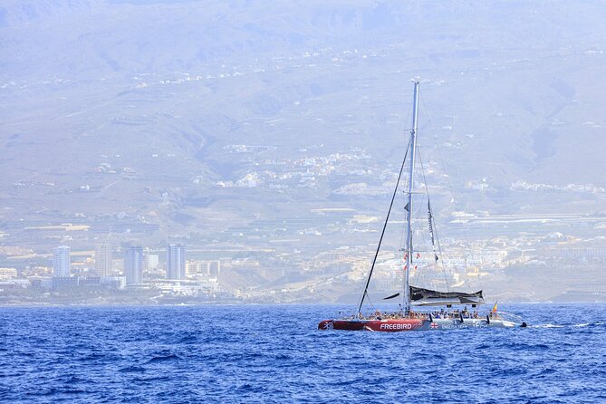 Exclusive Freebird Catamaran Whale and Dolphin Cruise to Caleta - What the catamaran ride feels like