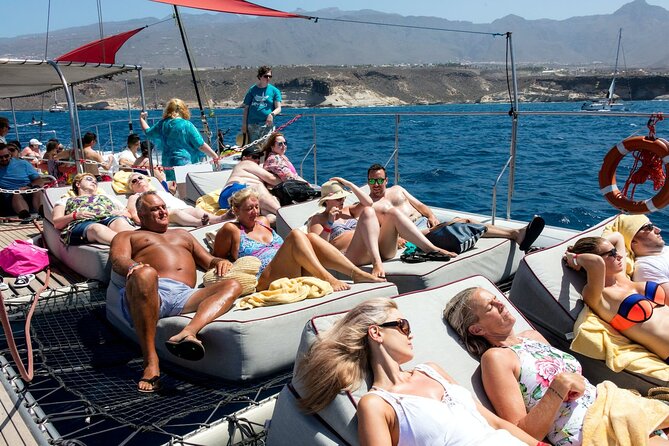 Exclusive Freebird Catamaran Whale & Dolphin to Masca From South - How the $70.98 price compares in practical terms