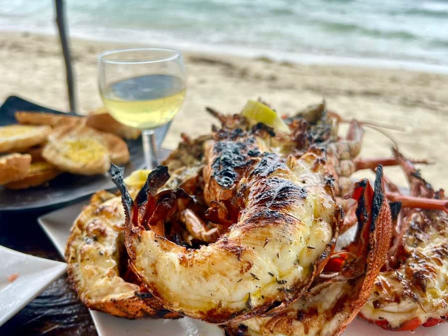 Exclusive:full-day/Dolphins watch& swimming Crystal Rock+Bbq - Key points at a glance