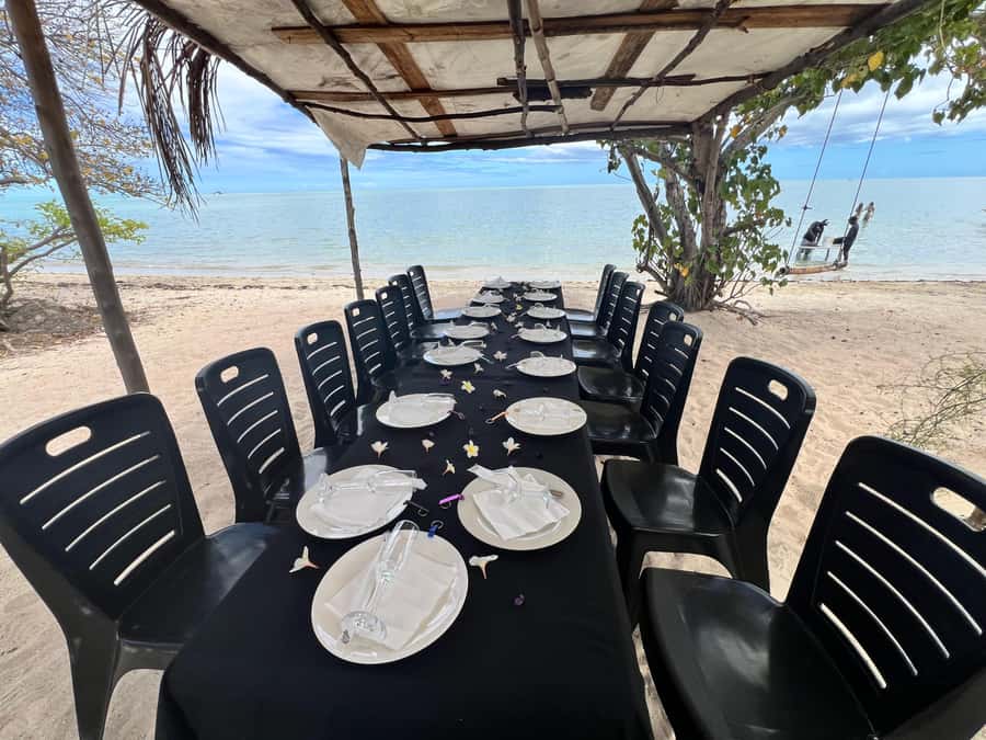Exclusive:full-day/Dolphins watch& swimming Crystal Rock+Bbq - Swimming with dolphins, with a guide nearby