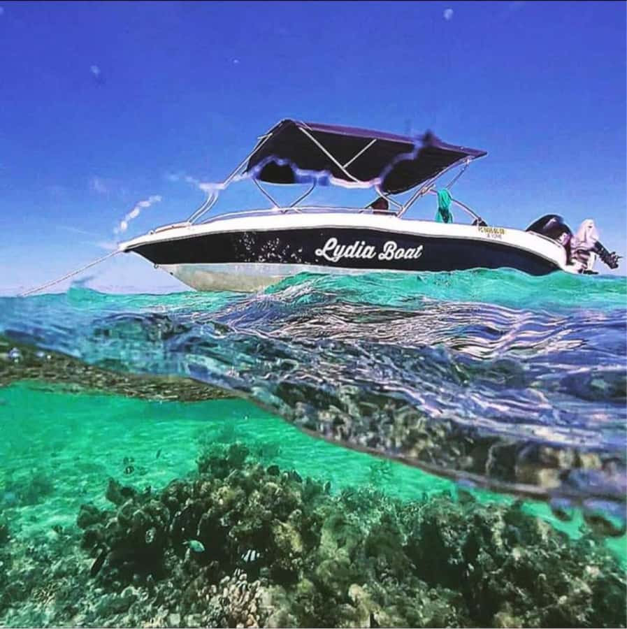 Exclusive:full-day/Dolphins watch& swimming Crystal Rock+Bbq - Snorkelling around Crystal Rock