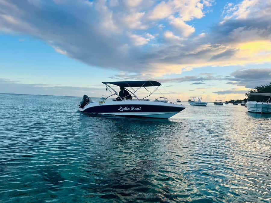 Exclusive:full-day/Dolphins watch& swimming Crystal Rock+Bbq - A seafood lunch on Bénitiers Island