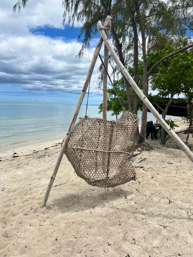 Exclusive:full-day/Dolphins watch& swimming Crystal Rock+Bbq - What the private format is worth