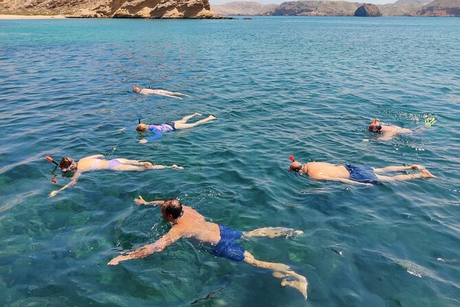Experience Dolphin watching and snorkeling in Muscat - The first part of the morning is dolphin watching
