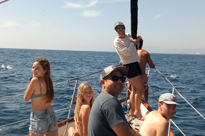 Experience Oceanside Sailing with Whales and dolphins! - Sailing participation or a quiet seat
