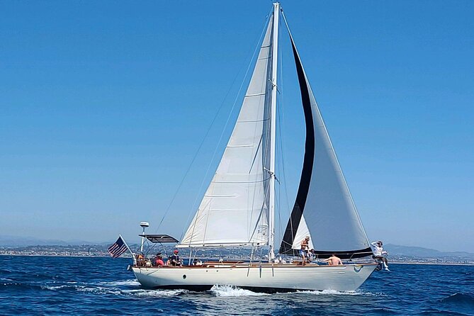 Experience Oceanside Sailing with Whales and dolphins! - Champagne, charcuterie, and bringing your own food