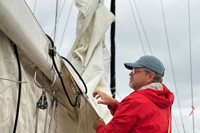 Experience Oceanside Sailing with Whales and dolphins! - Practical details that affect your day