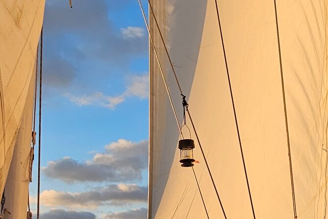Experience Oceanside Sailing with Whales and dolphins! - What two hours on the Song of David feels like