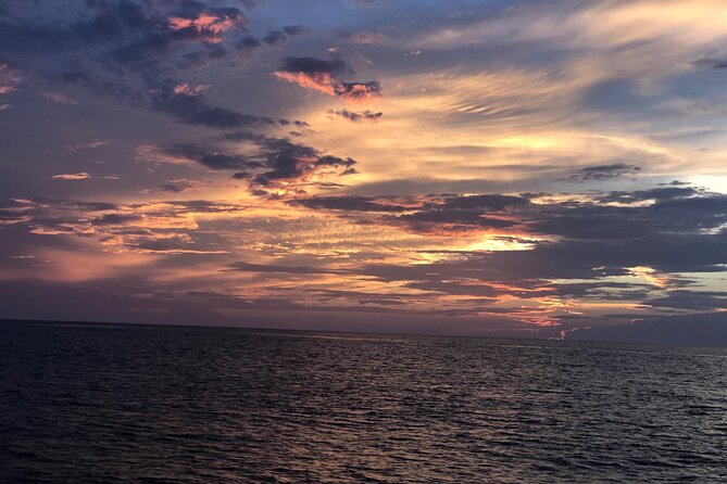 Experience Sunset and Dolphin Adventure in Panama - What the private format means for your group