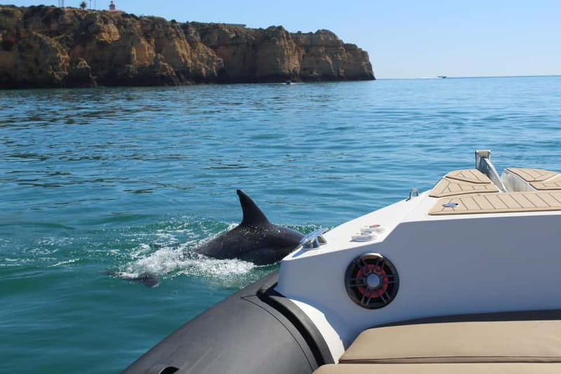 Explore Benagil, Ponta da Piedade and Dolphins in Algarve - Key points to know before booking