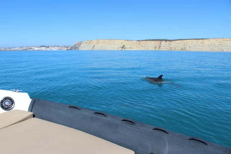 Explore Benagil, Ponta da Piedade and Dolphins in Algarve - Who should book this private Algarve tour?