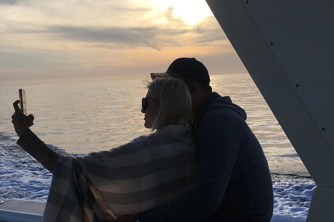 Family and Private Group Whale and Dolphin Watching - Who Will Get the Most From This Outing