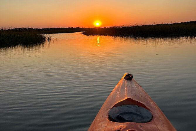 Family Friendly Dolphin Nature Kayak Tours in Hilton Head - Is $48 a fair price for Hilton Head?