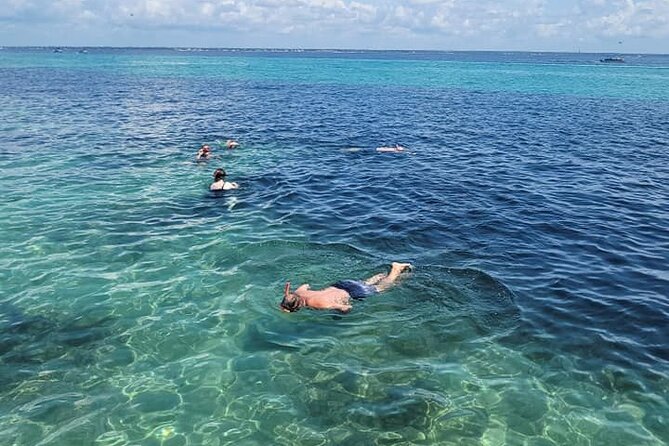 Family-Friendly Snorkeling and Dolphin Tour from FWB - Passing Crab Island without making it the whole trip