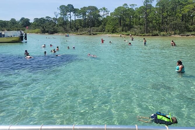 Family-Friendly Snorkeling and Dolphin Tour from FWB - Should you book the Fort Walton Beach dolphin and snorkeling tour?