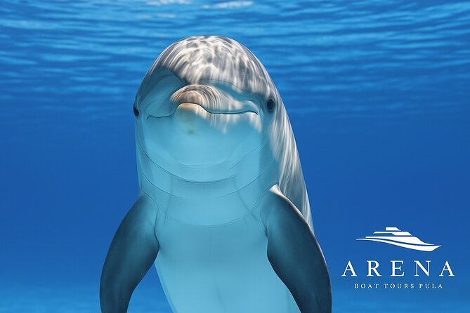 Fantastic DOLPHIN & SUNSET TOUR with dinner ( Pula-NP BRIJUNI ) - From Pula Harbour to the Brijuni Islands