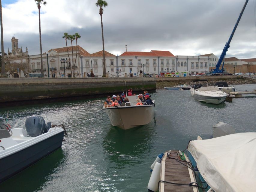 Faro: Dolphin and Marine Life Watching Boat Tour - FAQ