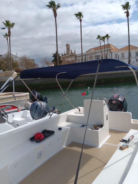 Faro: Dolphin and Marine Life Watching Boat Tour - Ria Formosa reveals a quieter side of the Algarve