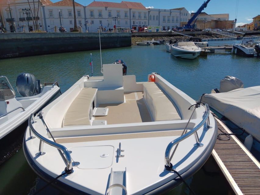 Faro: Dolphin and Marine Life Watching Boat Tour - Is $64 a fair price?