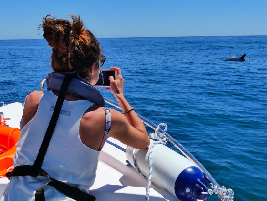 Faro: Dolphin and Wildlife Watching in the Atlantic Ocean - What the ride feels like in practice