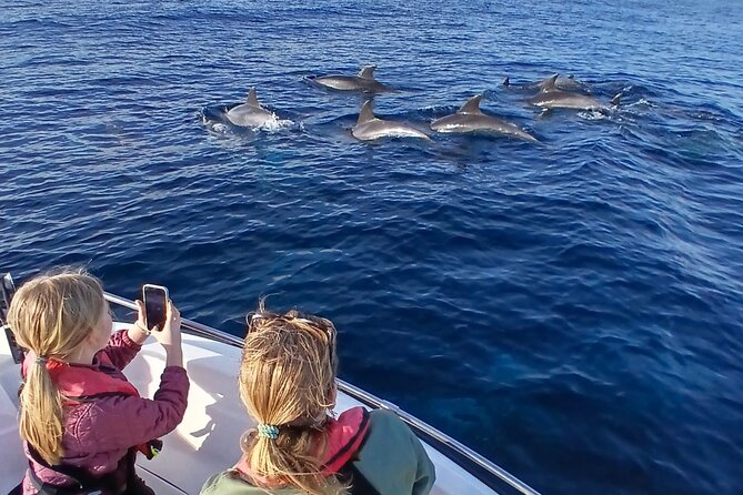 FARO Fantastic Dolphin Observation Tour and Marine Life - From Faro Marina to the Atlantic