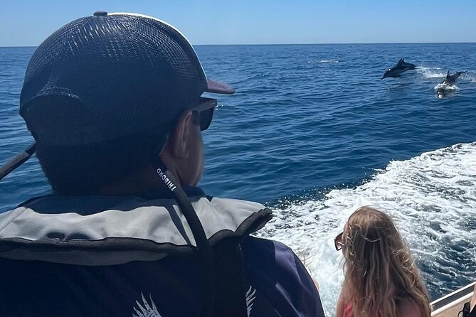 FARO Fantastic Dolphin Observation Tour and Marine Life - Ilha Deserta and the open-water route