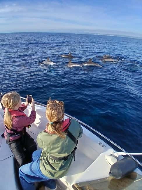 Faro: Funtastic Dolphin Watching Boat Tour - What makes the wildlife rules matter