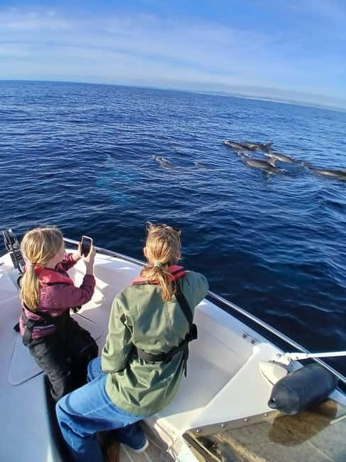 Faro: Funtastic Dolphin Watching Boat Tour - Guides Nuno and Pudim add real value