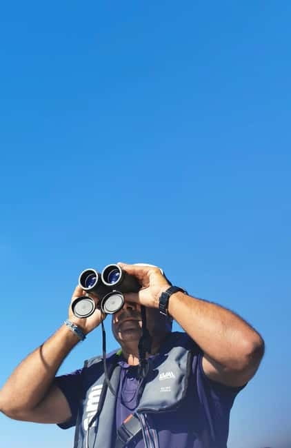 Faro: Funtastic Dolphin Watching Boat Tour - Three hours, small groups, and the $70 question
