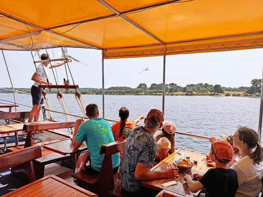 Fazana: Dolphin Finder in Brijuni islands Safari with Dinner - Searching for bottlenose dolphins