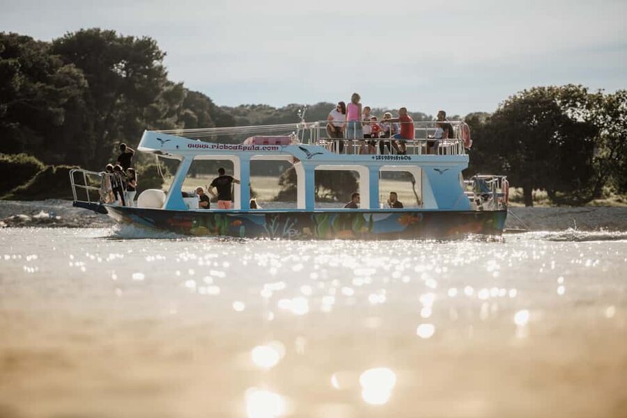 FAŽANA: DOLPHIN SAFARI - Practical tips for a smoother departure