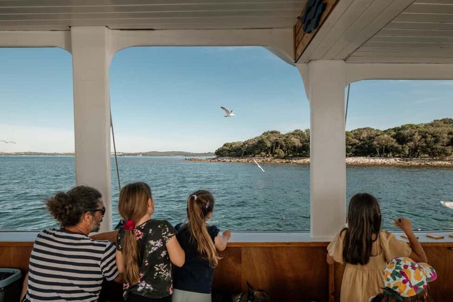FAŽANA: DOLPHIN SAFARI - How the $41 price works for different travelers