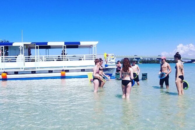 Fins Up - Dolphin & Island Sandbar Adventure in Clearwater Beach - Key points at a glance