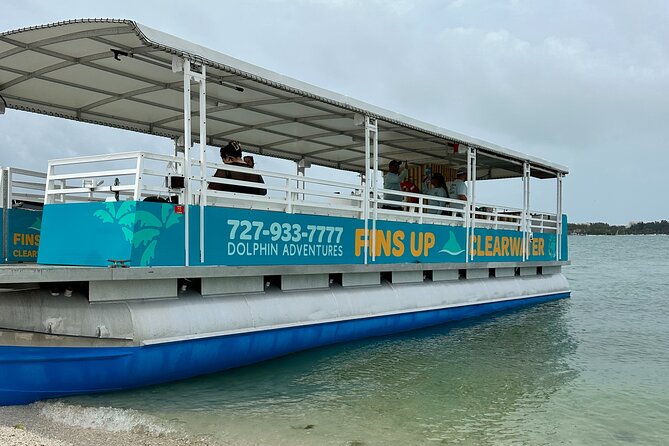 Fins Up - Dolphin & Island Sandbar Adventure in Clearwater Beach - Searching Clearwater’s waters for dolphins