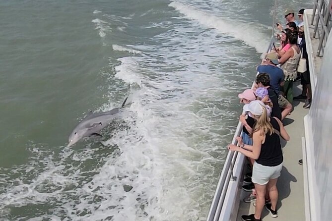 Fireworks Cruise with Dolphin Watch in Laguna Madre Bay - Setting out from State Park Road 100