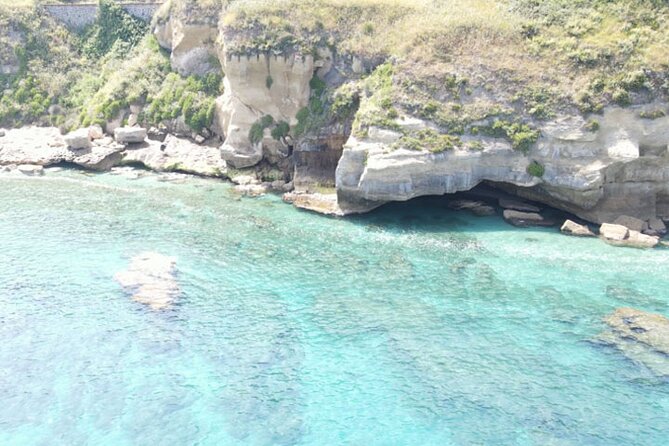 Fishing, Snorkelling & Dolphin Boat Tour - A three-hour taste of Calabria from the water