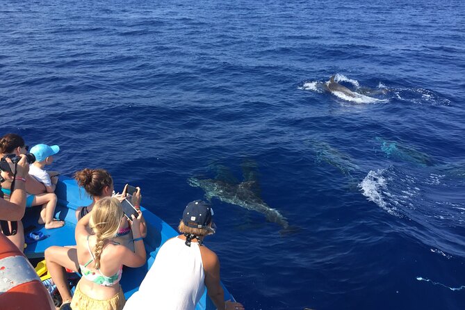 Fishing, Snorkelling & Dolphin Boat Tour - Weather can shape the whole outing