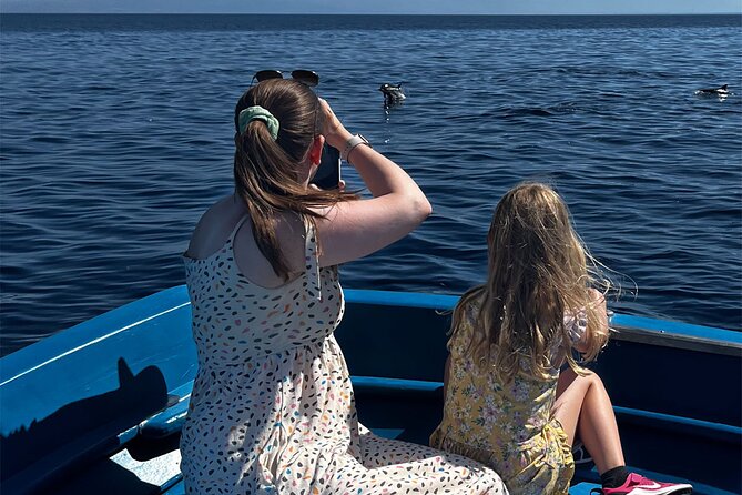 Fishing, Snorkelling & Dolphin Boat Tour - Who will enjoy this Calabria boat trip?
