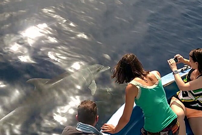Fishing, Snorkelling & Dolphin Boat Tour - Fishing along the coast, with snorkelling built in