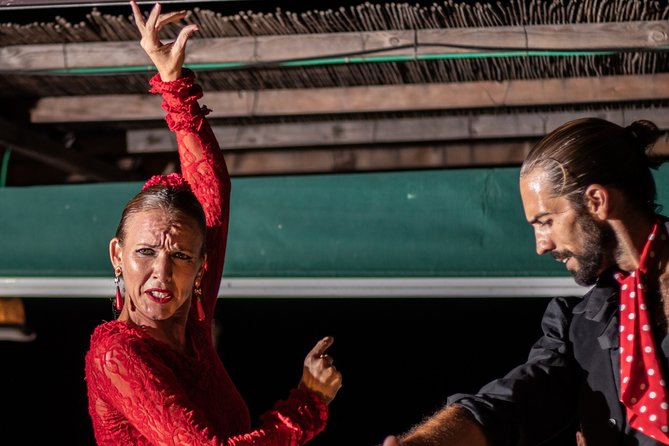 Flamenco evening and barbecue by the sea at the Blue Dolphin Beach Club - The flamenco performance itself
