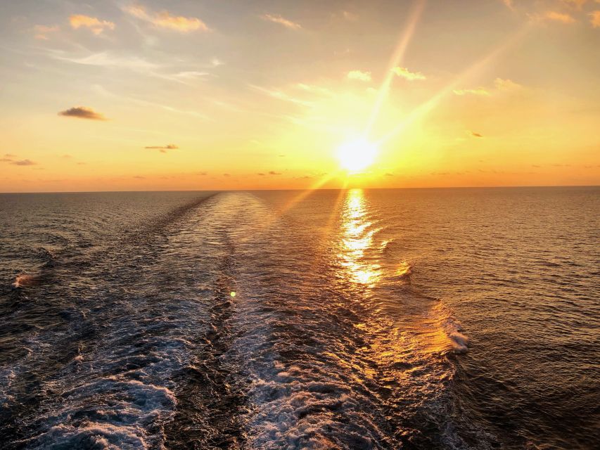 Florida: Emerald Coast Sunset & Dolphin Cruise with Guide - What the $40 price really buys